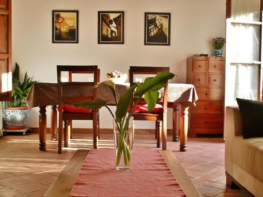 Apartamento Oasis Granada Dış mekan fotoğraf